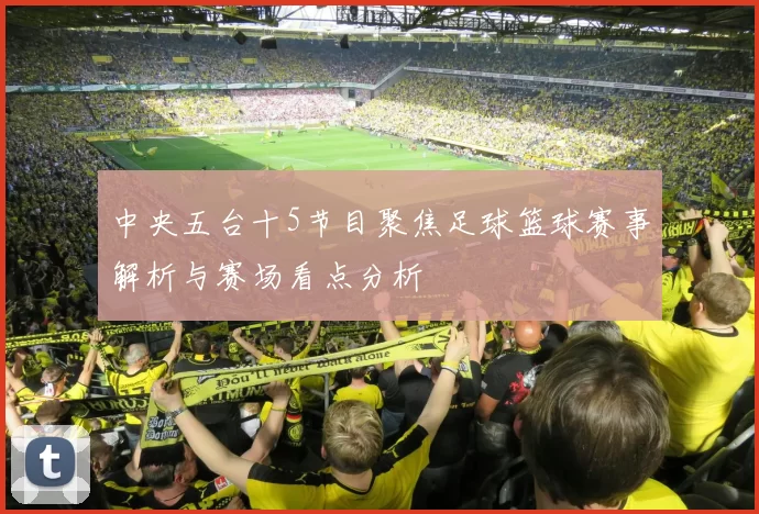 中央五台十5节目聚焦足球篮球赛事解析与赛场看点分析
