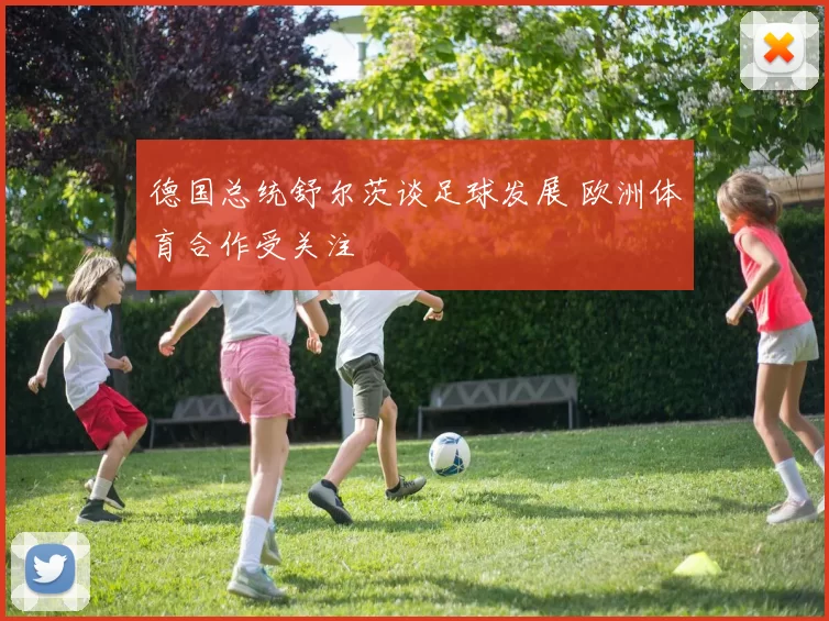 德国总统舒尔茨谈足球发展 欧洲体育合作受关注