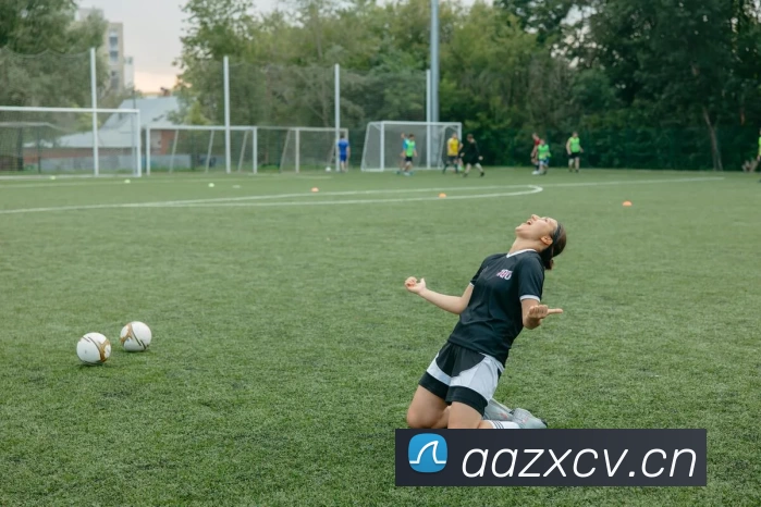 九游网页版·官方站入口 - 九游(中国)平台生态图